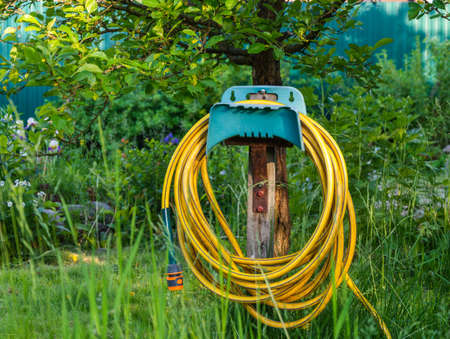 Yellow rubber irrigation hose coiled in a bay hanging in a green garden, a bay of irrigation hose on a background of green grass in the garden, reinforced irrigation hoseの写真素材