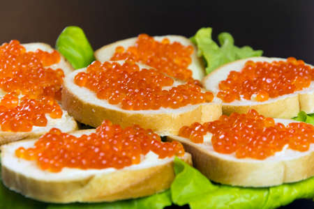 delicious sandwich with red caviar, butter and fresh lettuce leaves on a plateの写真素材