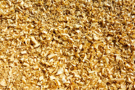 wood sawdust, carpentry waste, a lot of sawdust, combustible waste, sawdust dump, mulching, background.の写真素材