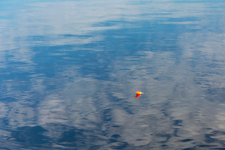 fishing red float on the water surface of the lake, fishing, recreation, relaxation.