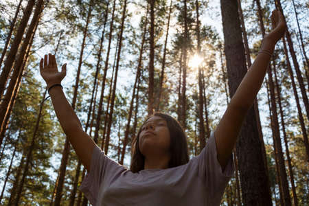 a young pretty girl meditates in nature in the forest among tall pines, illuminated by the sun's rays, a girl meditates, enjoy the tranquility, silence, prayer, tranquilityの写真素材