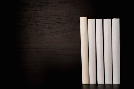 A row of white blank books on a shelf on a black background, free space for copying, without labels,...