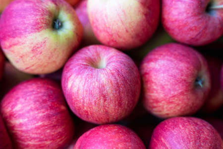 Ripe juicy red apples on the counter of the grocery market, a bunch of red-striped apples, fruit trade.の写真素材