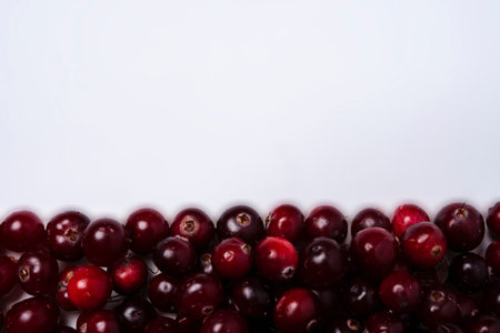 Background of ripe red cranberry berries and white space for copying, top view of cranberry berries.