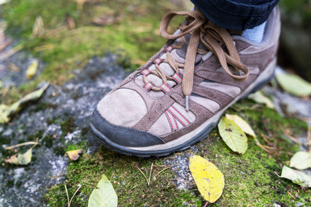 legs in women's trekking sneakers on a mossy forest stone with autumn yellow leaves, travel concept,...