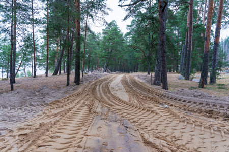 Traces of tractor wheels on a sandy forest road, traces of tractor tire tread on the surface of sand, traces of an industrial tractor in the forestの写真素材