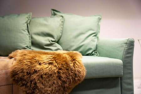 Light green sofa with pillows, plaid and fur cape, Living room furnitureの写真素材