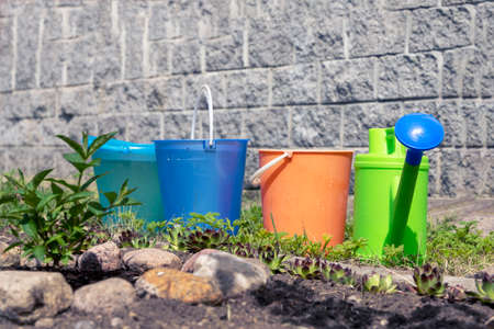 colored buckets for watering flowers in flower bed and a watering canの写真素材
