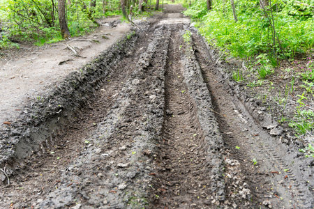 impassable forest road, muddy after rains, with traces of truck tiresの写真素材