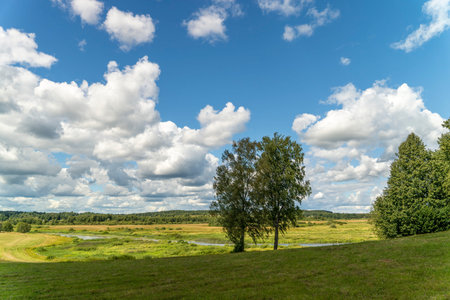 Background of a blue sky with clouds, a green field, river and forestの写真素材