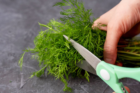 kitchen scissors cutting dill in the kitchen on a cutting boardの写真素材