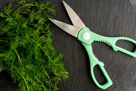 kitchen scissors cutting dill in the kitchen on a cutting boardの写真素材