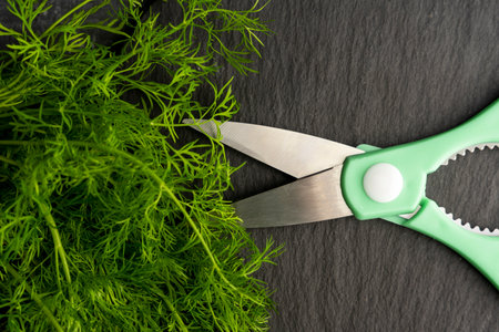 kitchen scissors cutting dill in the kitchen on a cutting boardの写真素材
