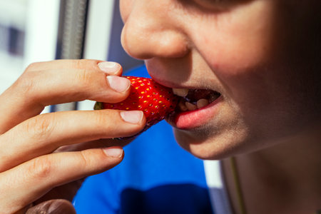 boy takes a bite out of a red strawberry berryの写真素材
