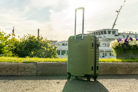suitcase on wheels stands on the pathの写真素材
