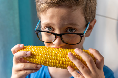 Happy cute Caucasian boy with glasses eating boiled corn on the cobの写真素材