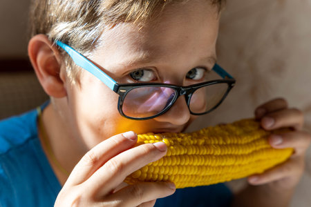 Happy cute Caucasian boy with glasses eating boiled corn on the cob