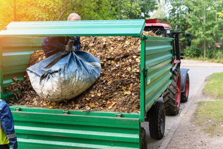 Loading of fallen leaves into a tractor
