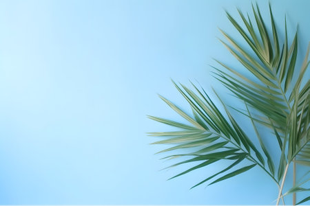 palm branch on a blue background. minimal abstract composition. Summer concept. top view. copy spaceの素材
