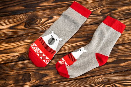 Polar Bear Patterned Socks,Socks featuring a polar bear design