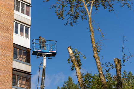 employee rises on a car tower to saw off dangerously growing branchesの写真素材