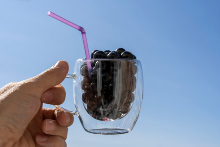 the hand holds a glass mug filled with blackcurrant berries with a cocktail tubeの写真素材
