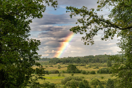 A colorful rainbow emerges over a serene countryside after rainfallの写真素材