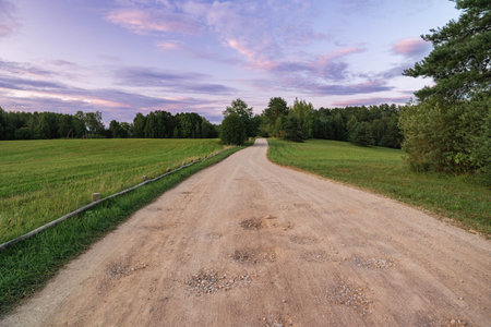 A dirt road leads through vibrant fields at twilightの写真素材