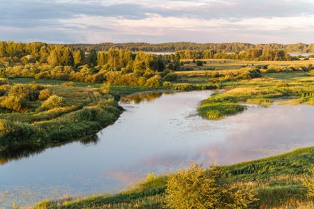 A peaceful river flowing through vibrant fields under a clear sky