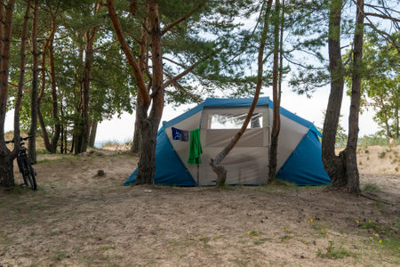 A tent among trees invites outdoor lovers to relax and explore.の写真素材