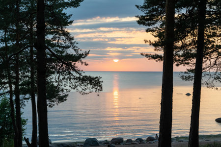 A beautiful sunset reflects on calm waters framed by tall trees.の写真素材