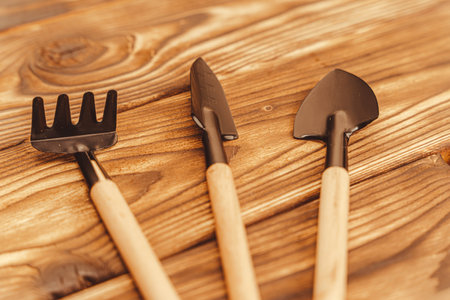 A set of essential gardening tools displayed on a wooden surfaceの写真素材