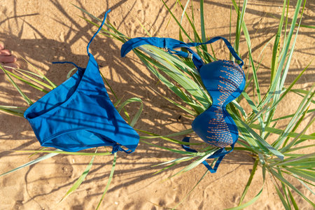 Bright blue swimwear laid among lush grass on a sandy beachの写真素材