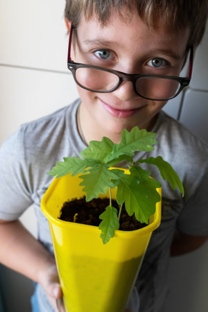 Boy holding potted oak sapling: promoting environmental awareness and conservationの写真素材