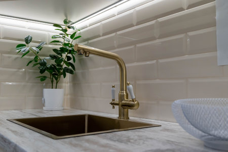Golden faucet and sink with plant in modern kitchenの写真素材