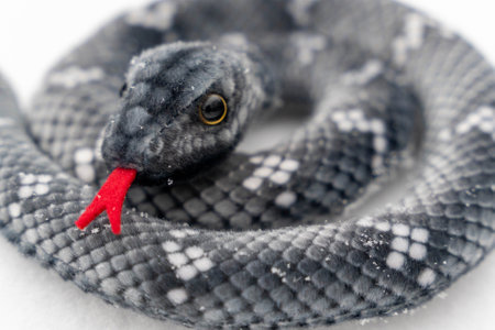 Gray plush snake toy coiled up with red tongue out against a white backgroundの写真素材