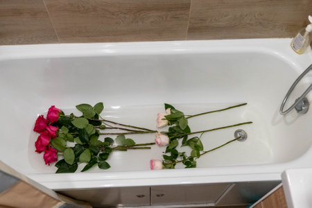Brightly colored roses rest in water, adding beauty to the bathroomの写真素材