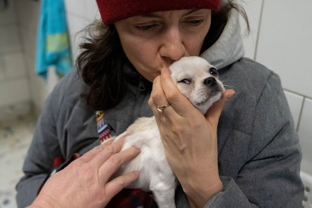 Woman cares for a small white dog. Chihuahua at a veterinary clinic appointmentの写真素材
