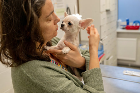 A woman lovingly interacts with a small puppy during a visitの写真素材