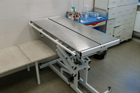 Examination table stands ready for animal check-ups in the clinicの写真素材