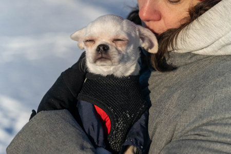Woman holding small white dog wearing winter clothes outdoorsの写真素材