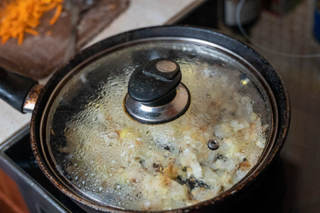 Frying pan with condensation on glass lid simmering onions on stove topの写真素材