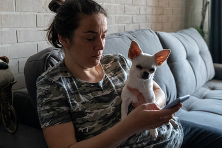 Woman using smartphone and holding chihuahua dog on sofa at homeの写真素材