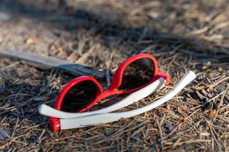 Red and white sunglasses lying on dry pine needlesの写真素材