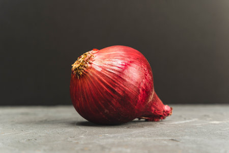 Single red onion isolated on plain dark grey background, studio shotの写真素材