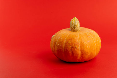 Orange pumpkin providing healthy food for fall holidaysの写真素材