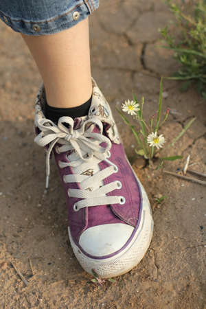 Girls Shoeの写真素材