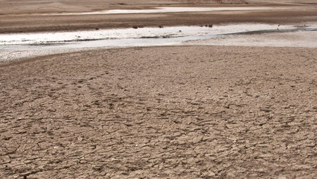 Rest of the Water on bottom of the dried lake
