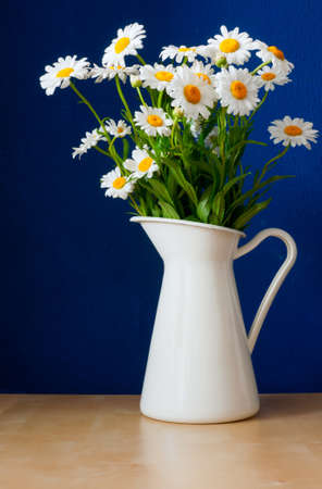 Fresh Oxeye Daisies on table in white Pitcher in interiorの写真素材
