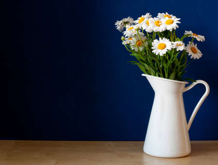Fresh Oxeye Daisies on table in white Pitcher in interior の写真素材